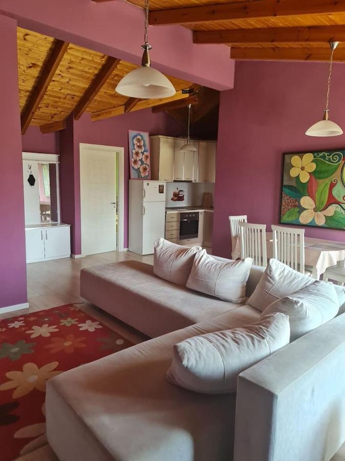 Penthahouse Shallvare Tiranë Eksteriør bilde